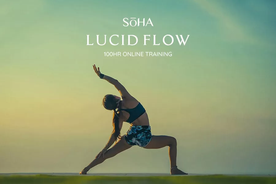 Lucid Flow - Online Training