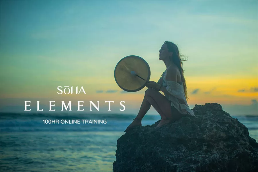 SoHA Elements - Online Training